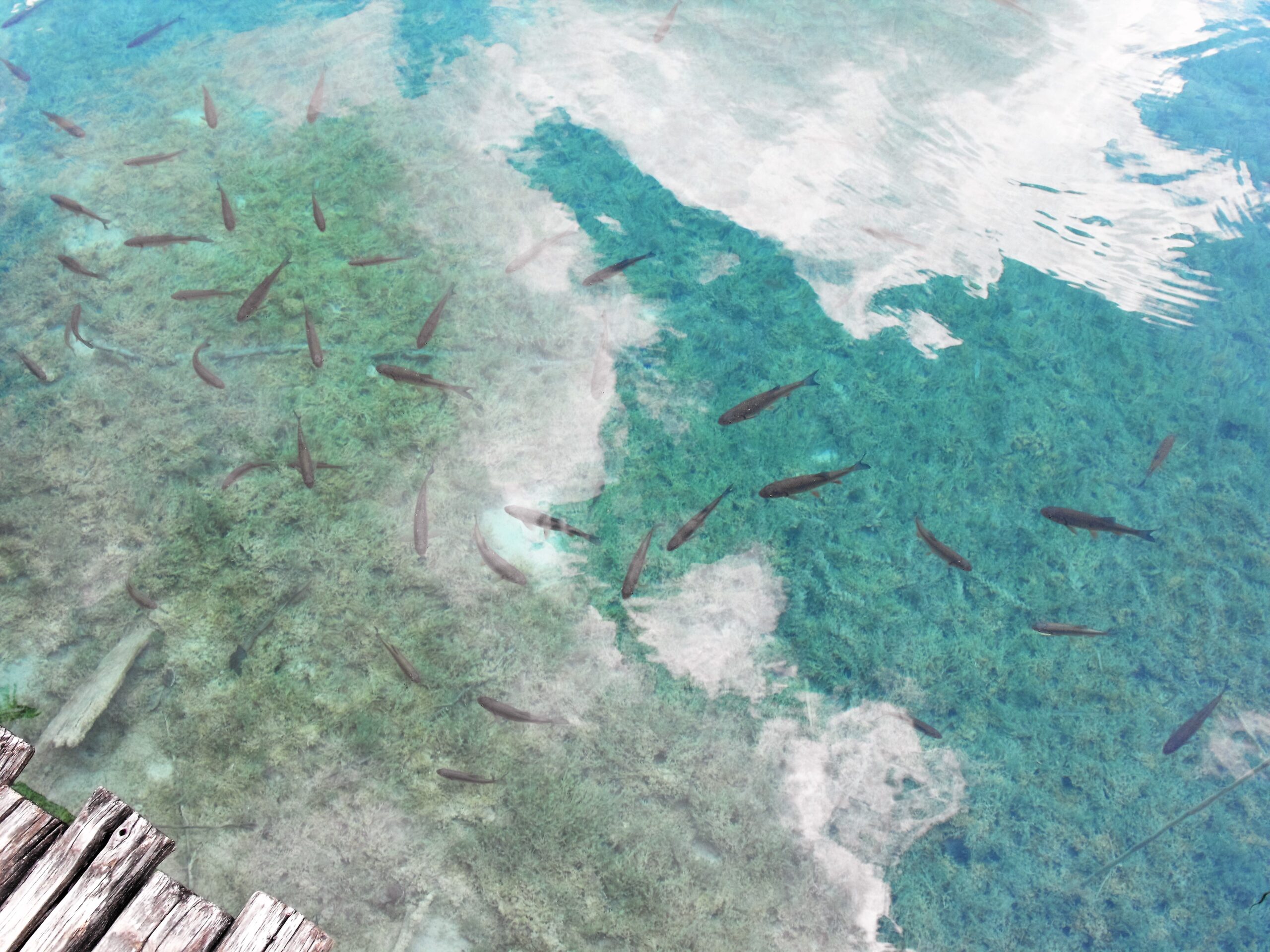 Possibile sviluppo di una perturbazione nel Mar dei Caraibi verso la fine della settimana