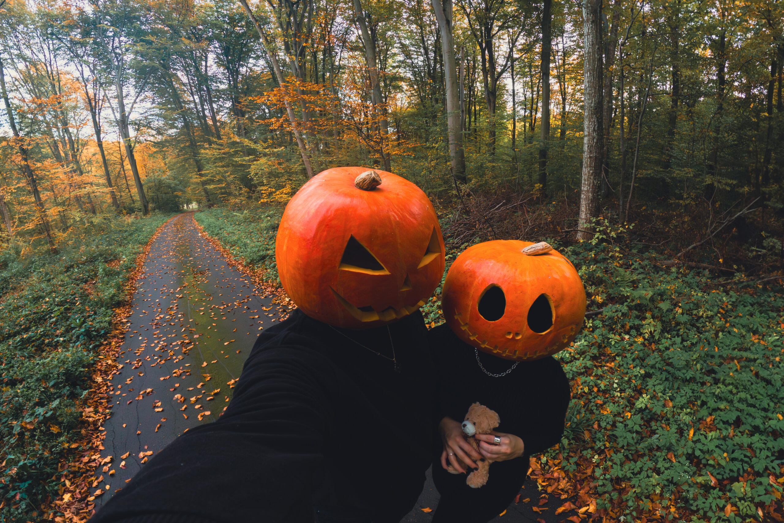 Perché non dovresti abbandonare le tue zucche nel bosco dopo Halloween