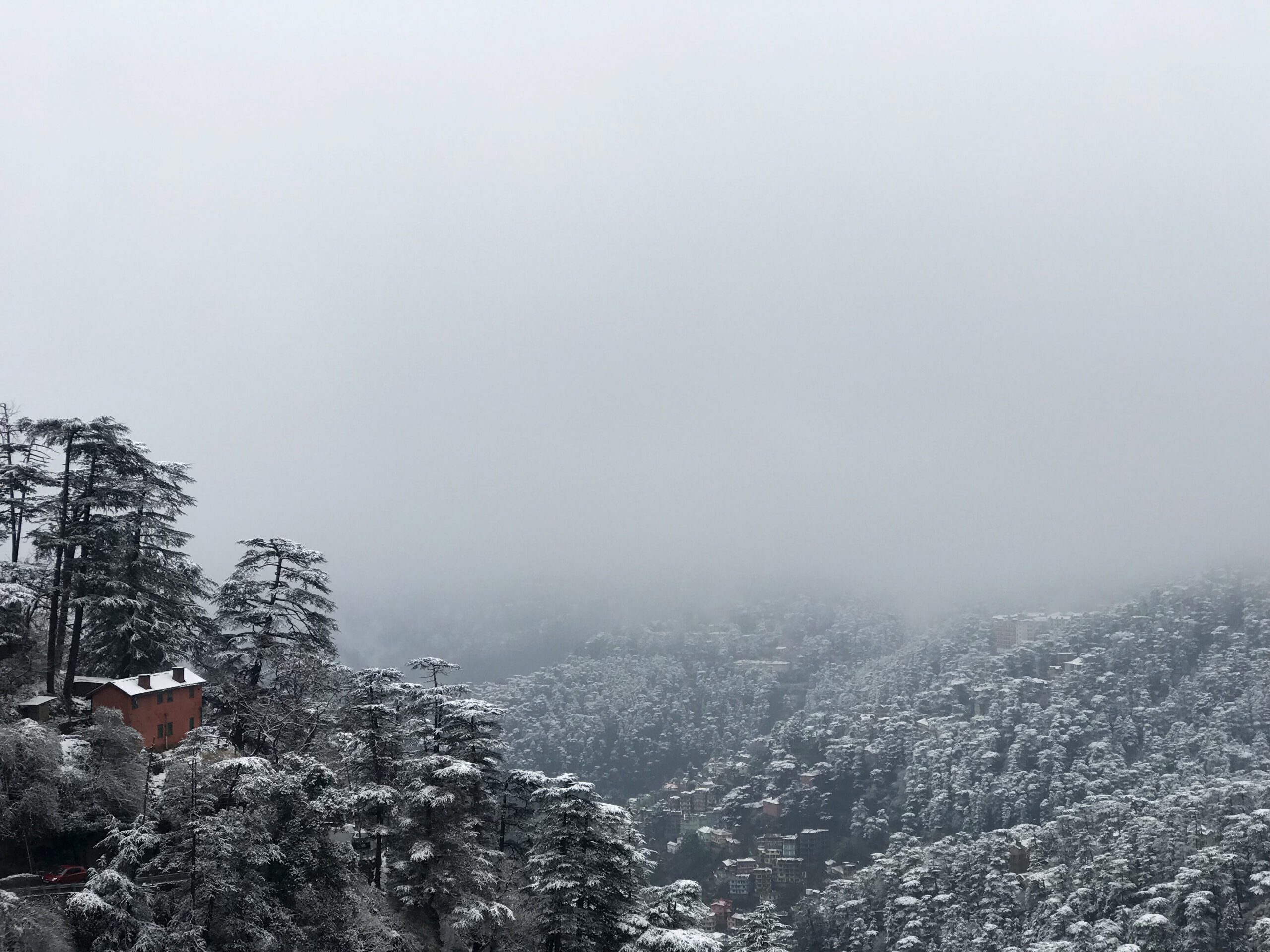 Freddo intenso e nebbia a Delhi e nel nord dell’India durante il periodo natalizio, possibili piogge leggere