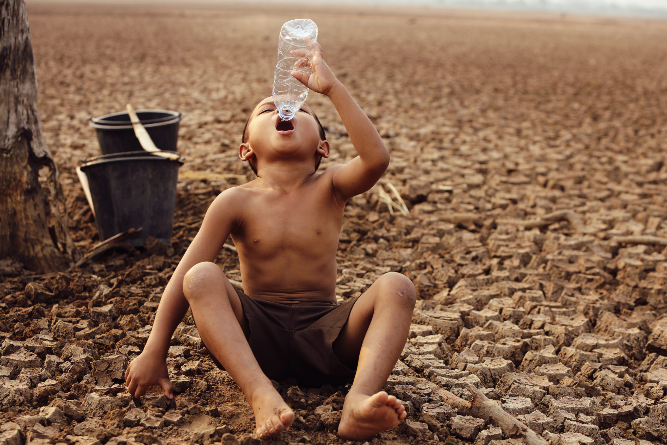 L’arrivo di El Nino porterà un clima caldo e secco secondo lo scambio agricolo online