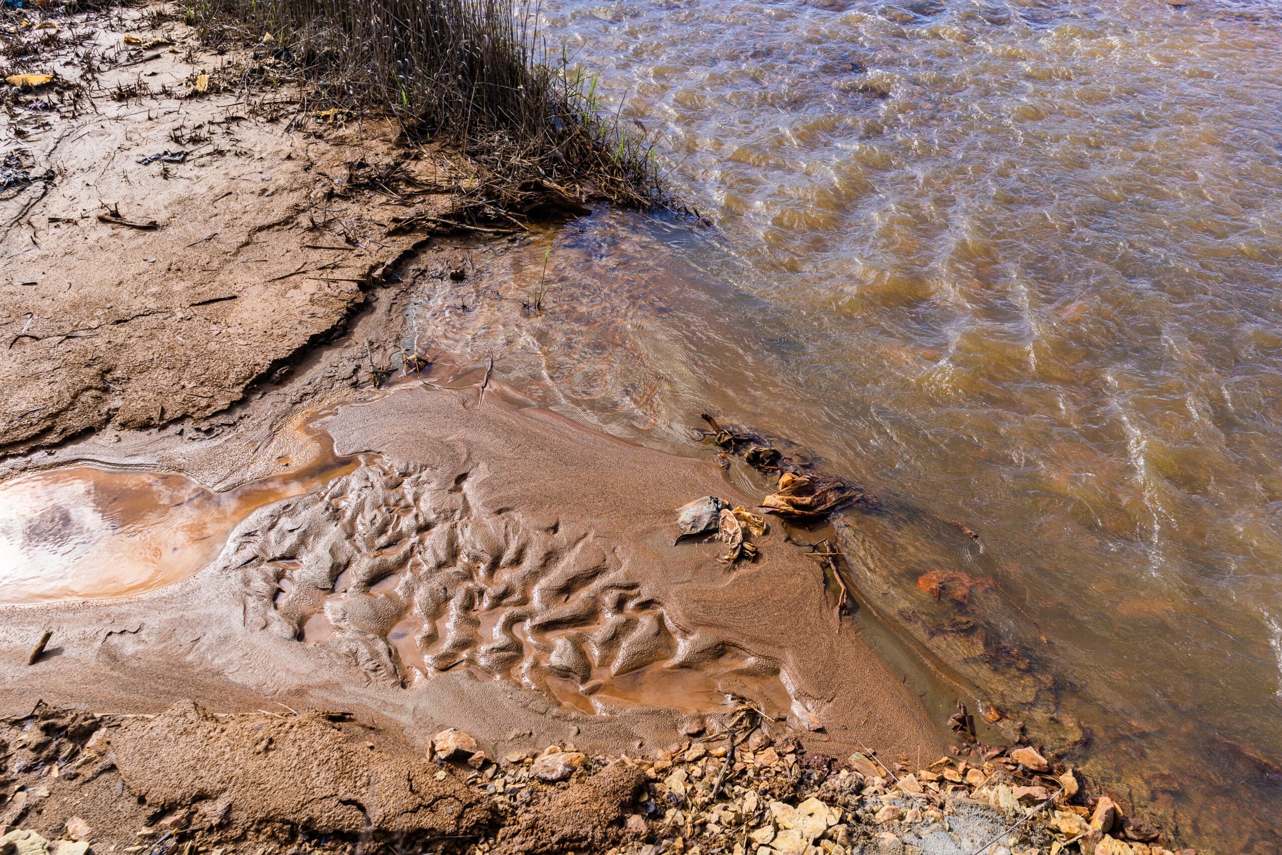 Come le sabbie bituminose minano gli obiettivi climatici del Canada