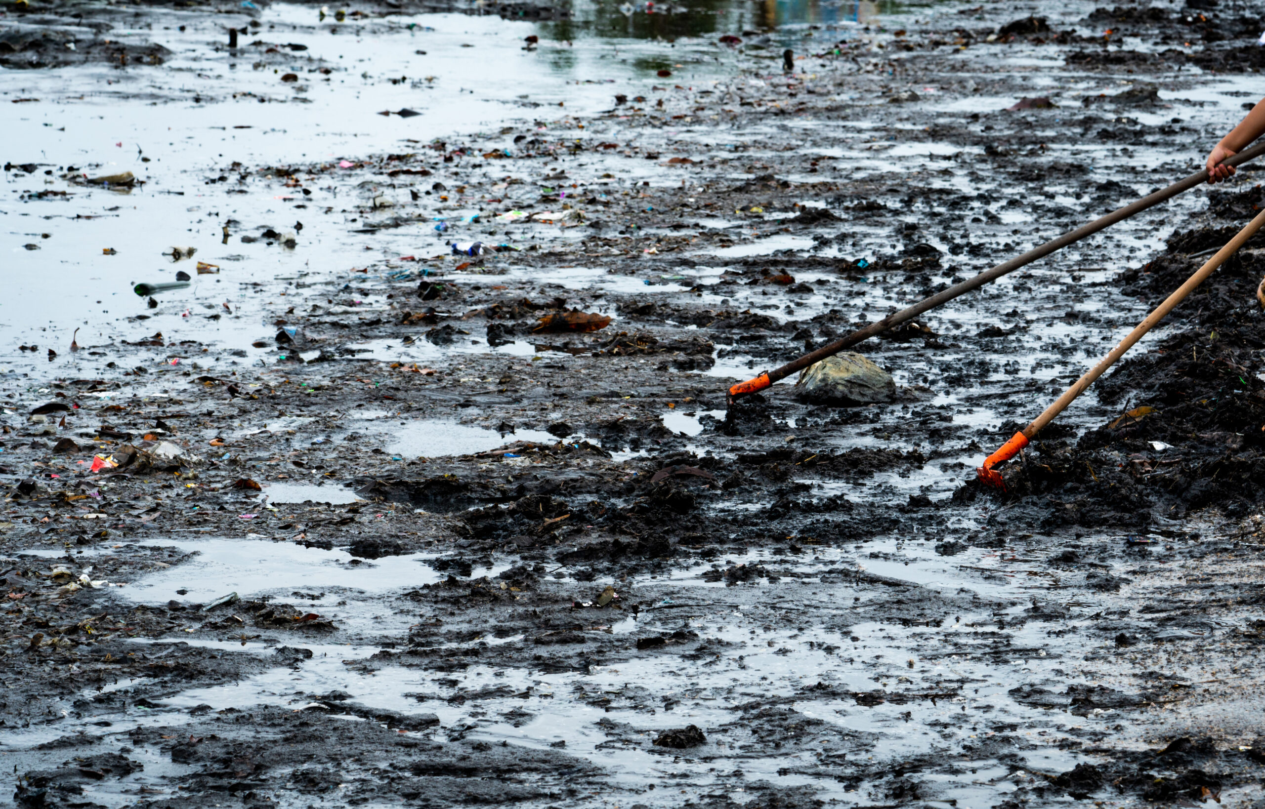 L’occidente sta perdendo il manto nevoso, un problema per la gestione dell’acqua