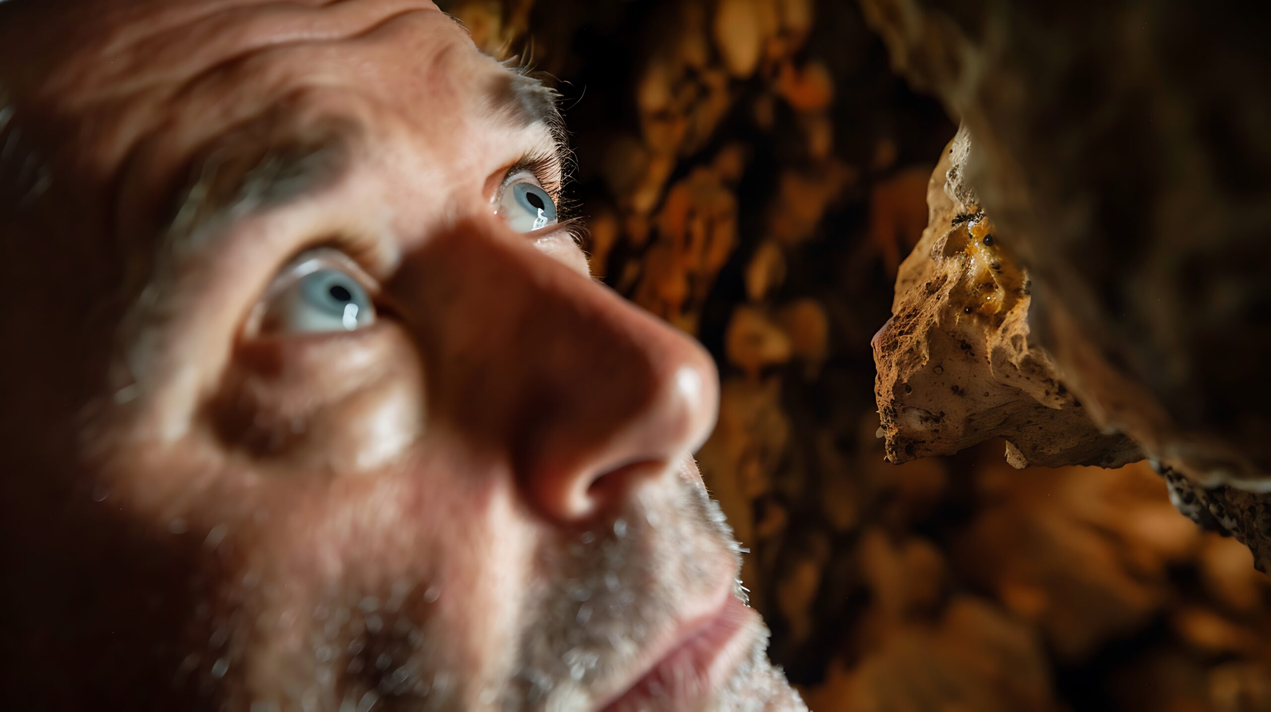 La vita quotidiana di un Neanderthal rivelata dallo sporco nei loro denti