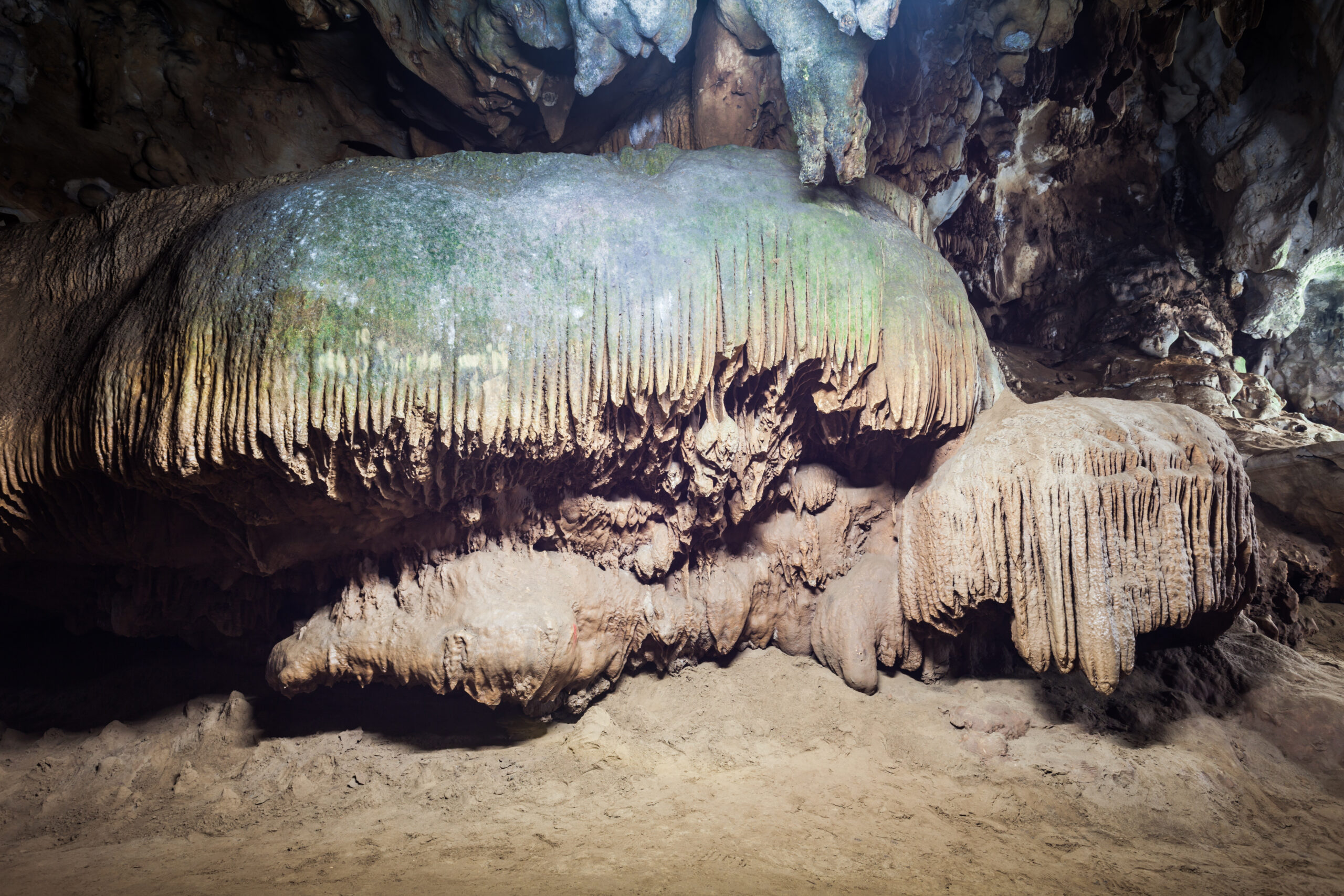 Il parco nazionale Mammoth Cave ospita il sistema di grotte più lungo del mondo