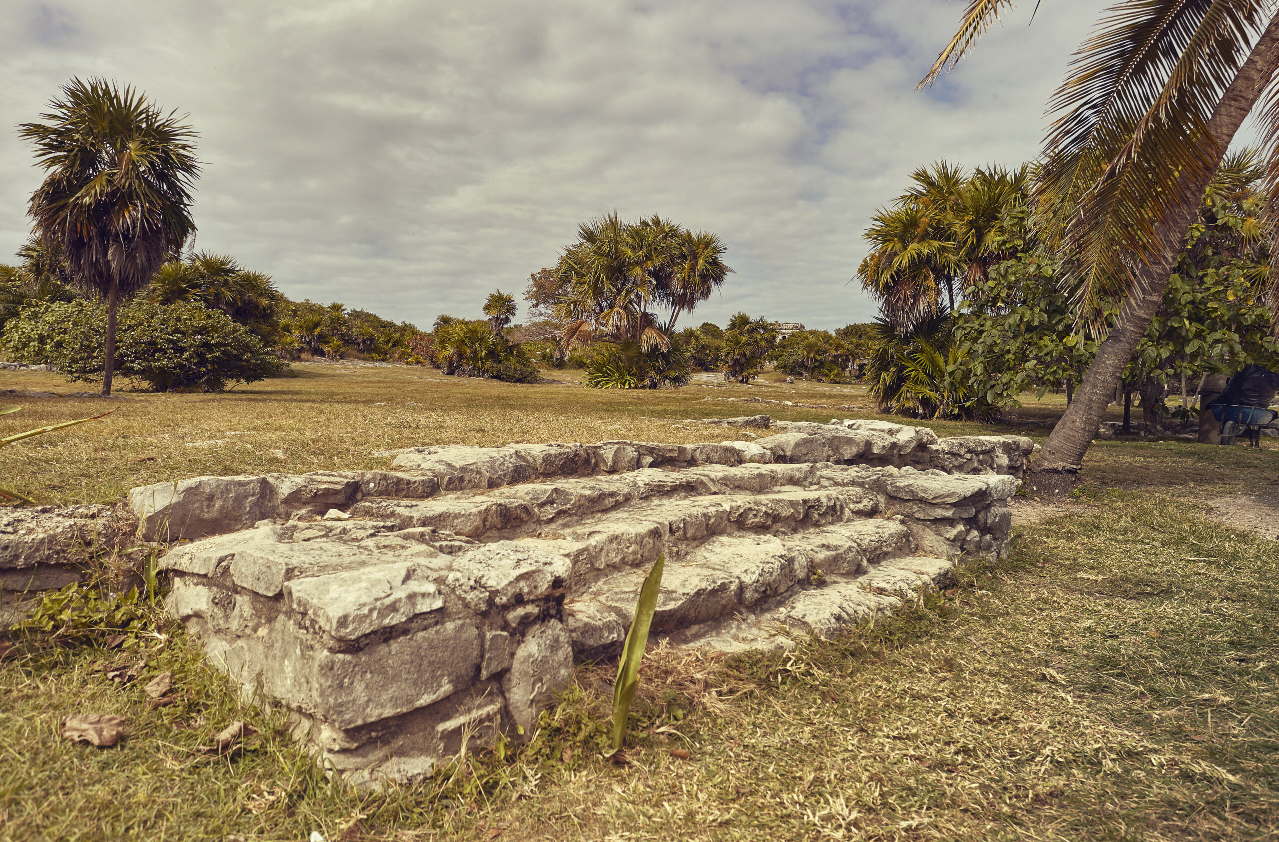 Scoperta antica città del Pacifico. Urbanizzazione iniziata 700 anni prima del previsto