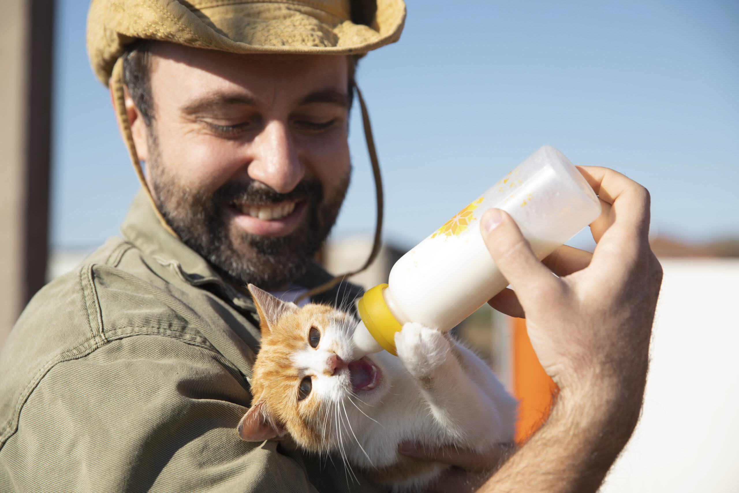 Come proteggere i tuoi animali domestici durante un’ondata di calore