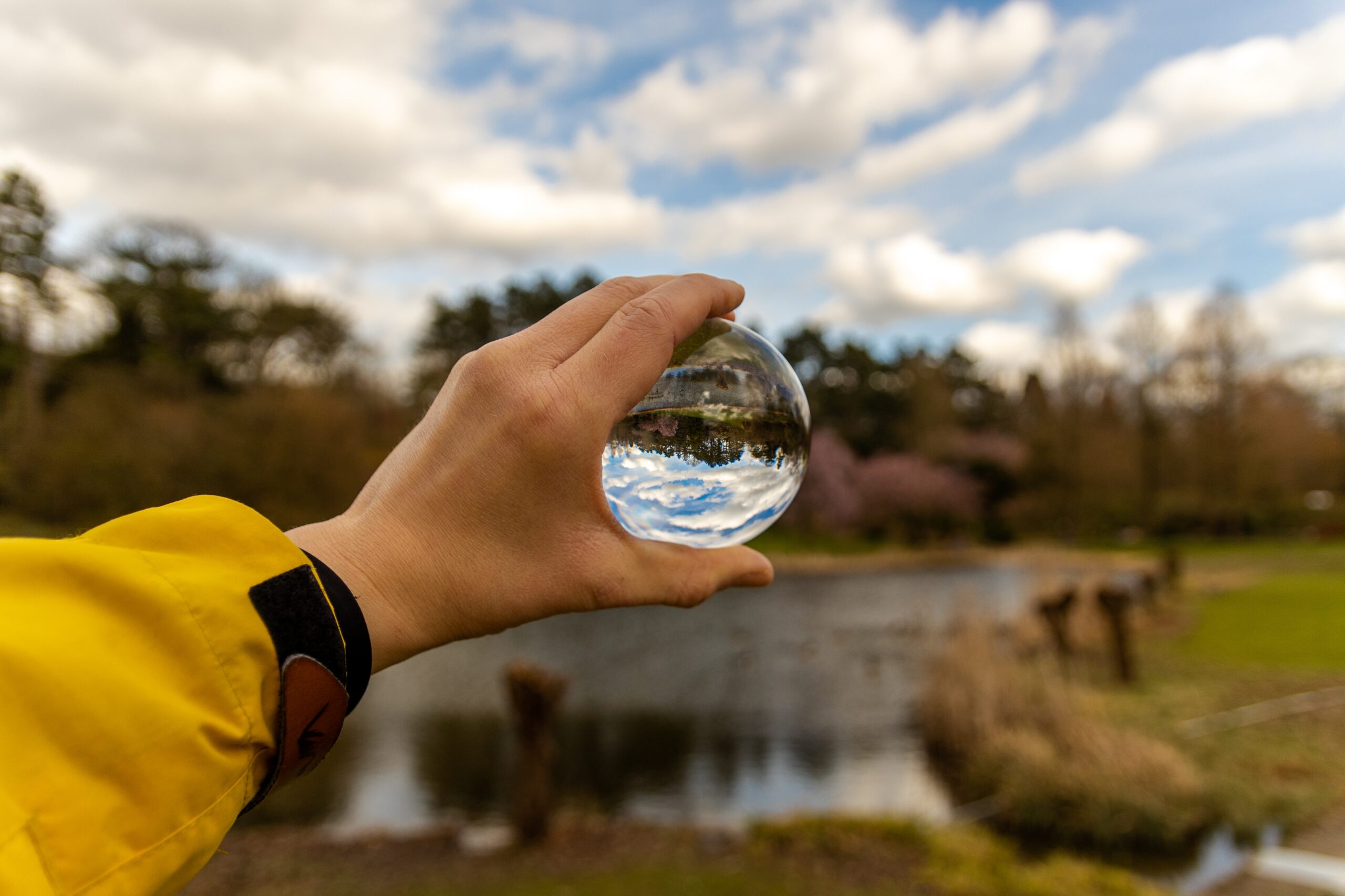 Come la Terra ha acquisito la sua acqua