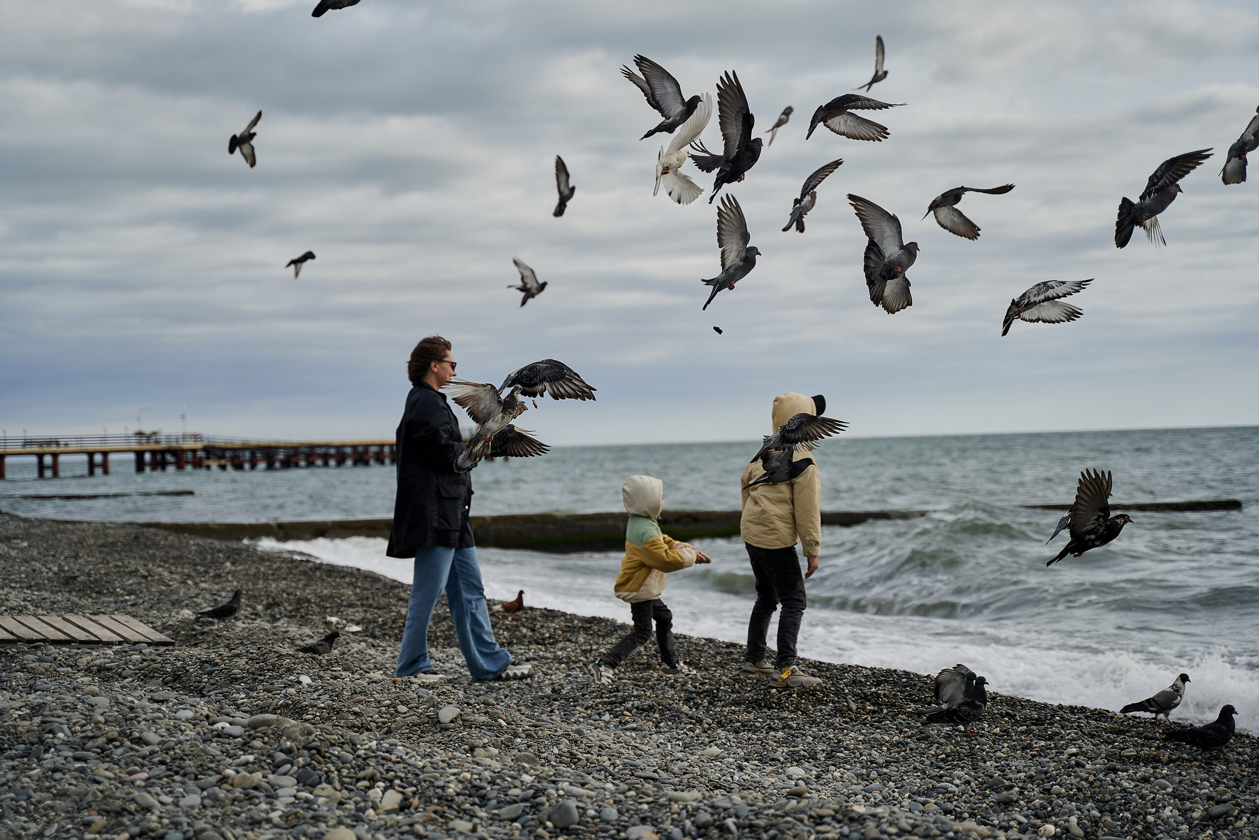 La natura prevale sull’educazione. I gabbiani urbani preferiscono i frutti di mare