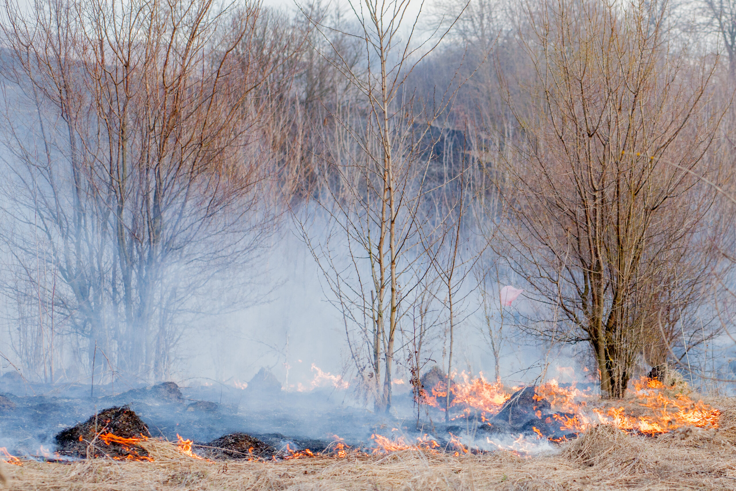 La stagione degli incendi del 2023 in Canada. Una catastrofe ambientale senza precedenti