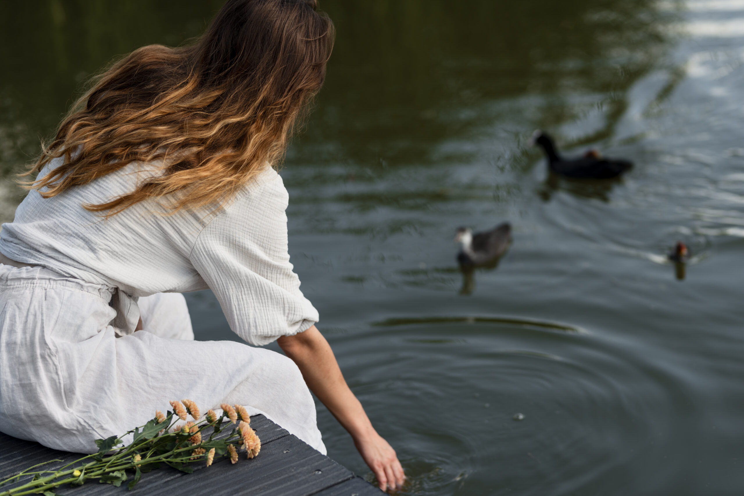 Come appaiono gli uccelli di Gesù mentre sembrano camminare sull’acqua?