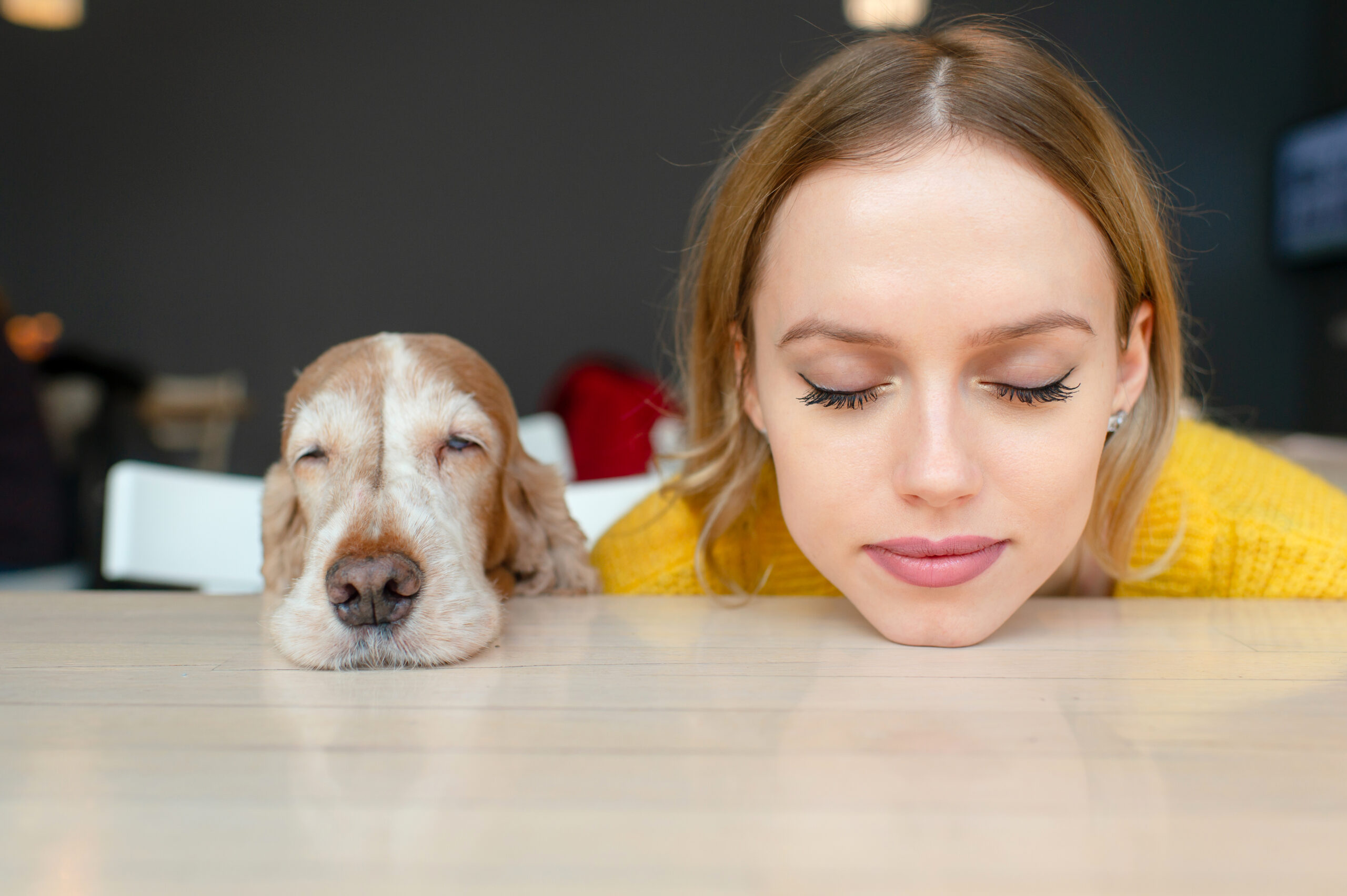 Cosa succede nella mente di un cane?