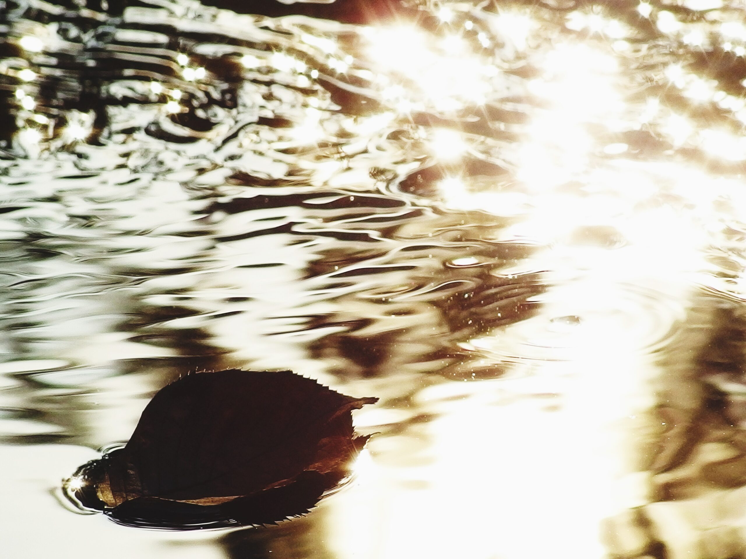 L’acqua non è incolore. Ha una leggera sfumatura