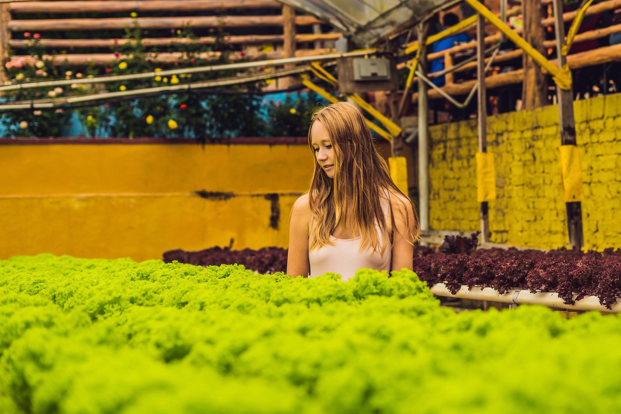 Coltivare il futuro. L’agricoltura verticale e la trasformazione della produzione alimentare