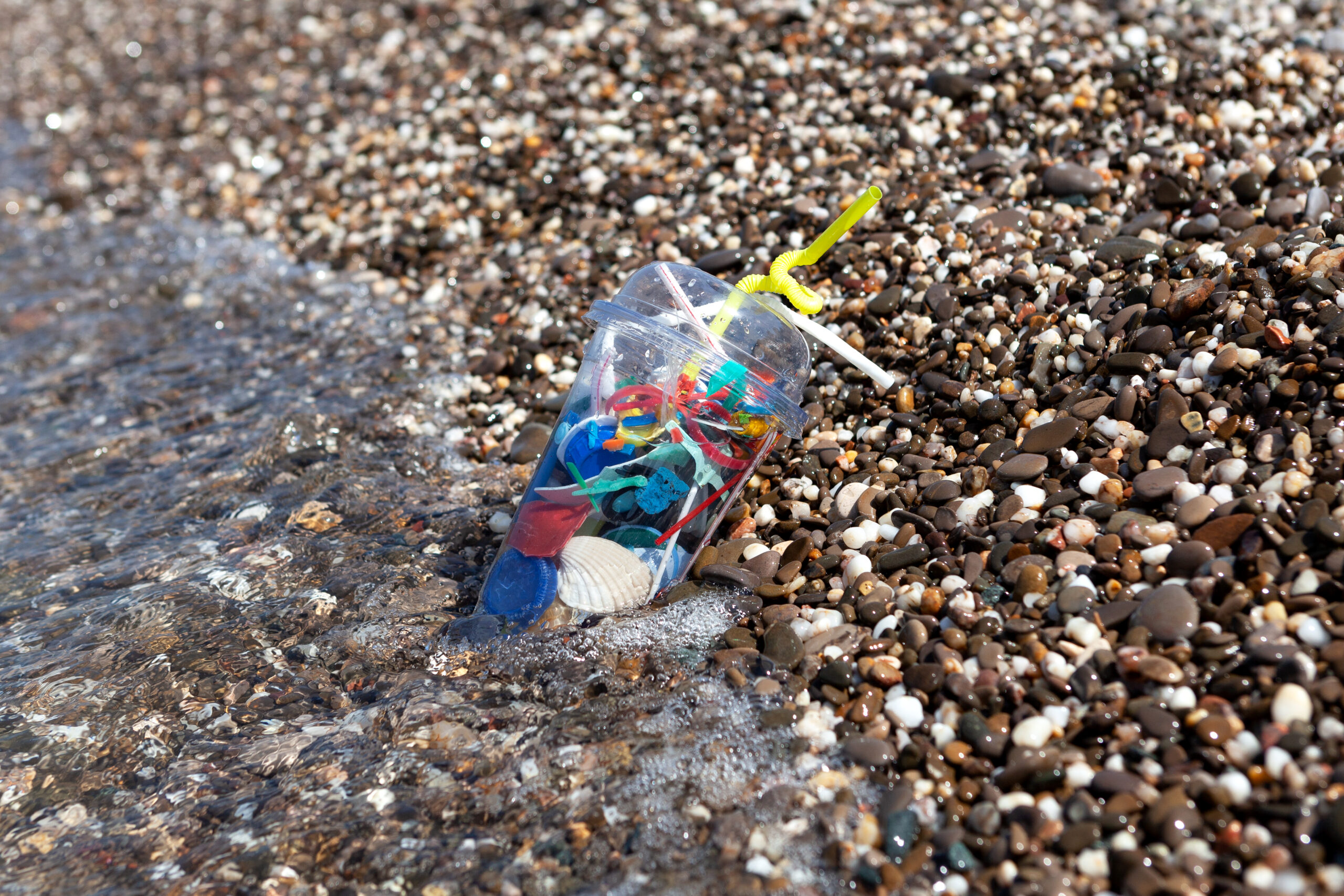 Microplastiche ovunque. Esperti chiedono un trattato mondiale prima che sia troppo tardi