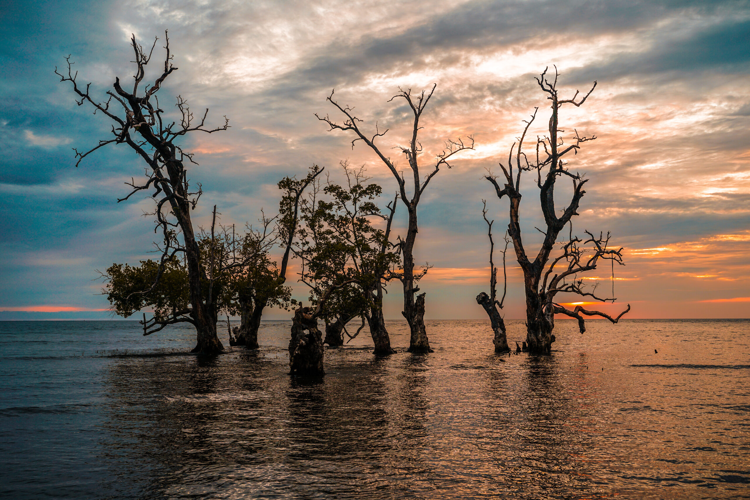 Le foto mostrano come il cambiamento climatico sta modellando la costa della Louisiana