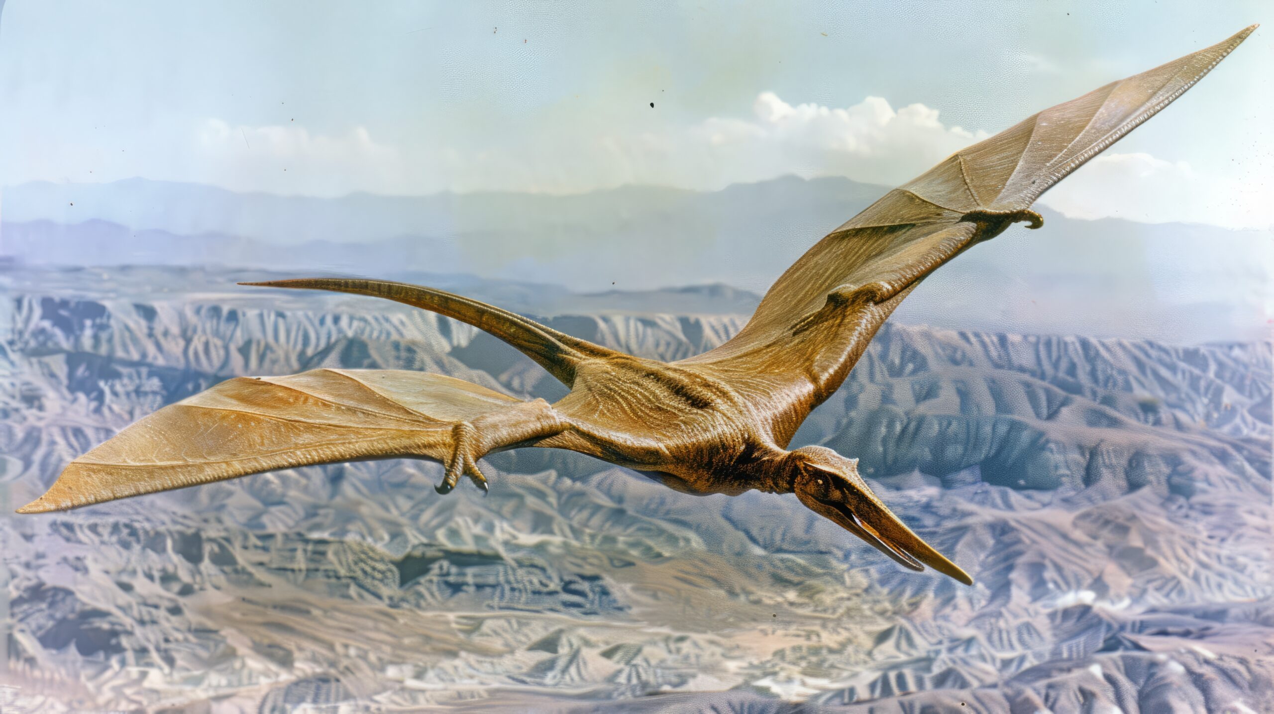 Il volo dei pterosauri giganti: fossili straordinari svelano i segreti tra planare e battere le ali