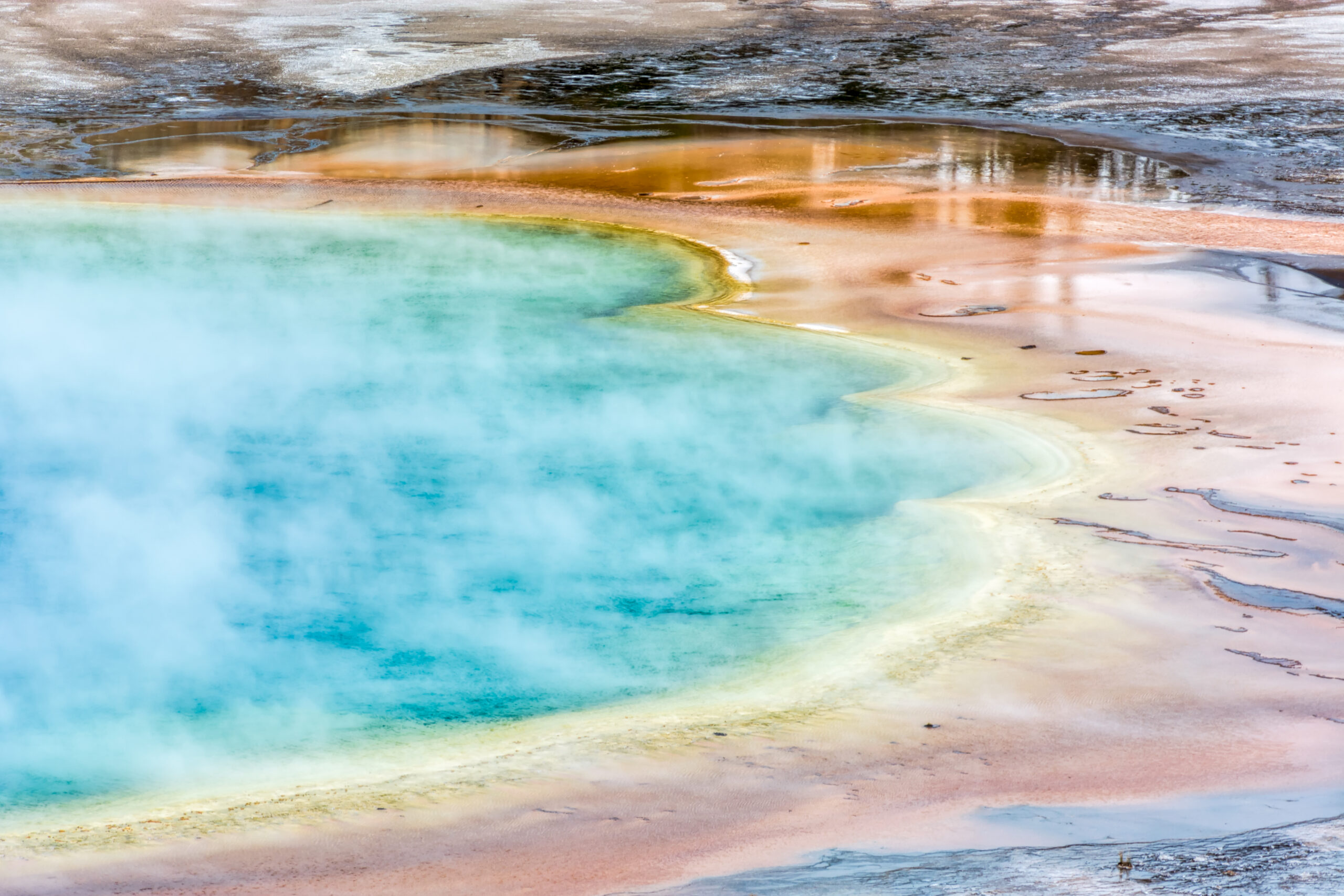 Psa: non toccare le sorgenti termali di Yellowstone