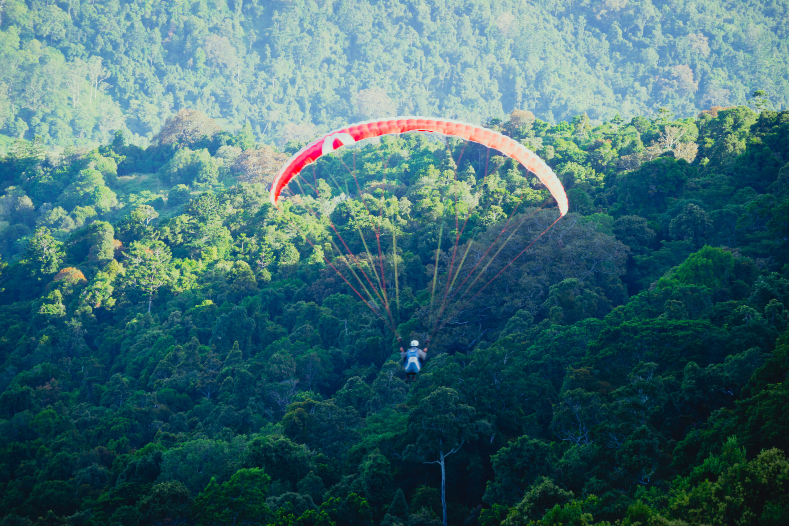 Paramotoristi in volo per proteggere l’ecosistema fragile del Perù. Botanica estrema