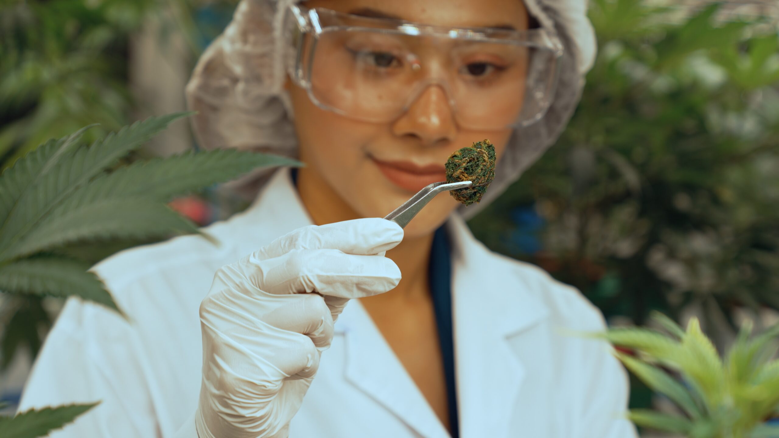 Nuova ricerca: la cannabis può invertire l’invecchiamento del cervello