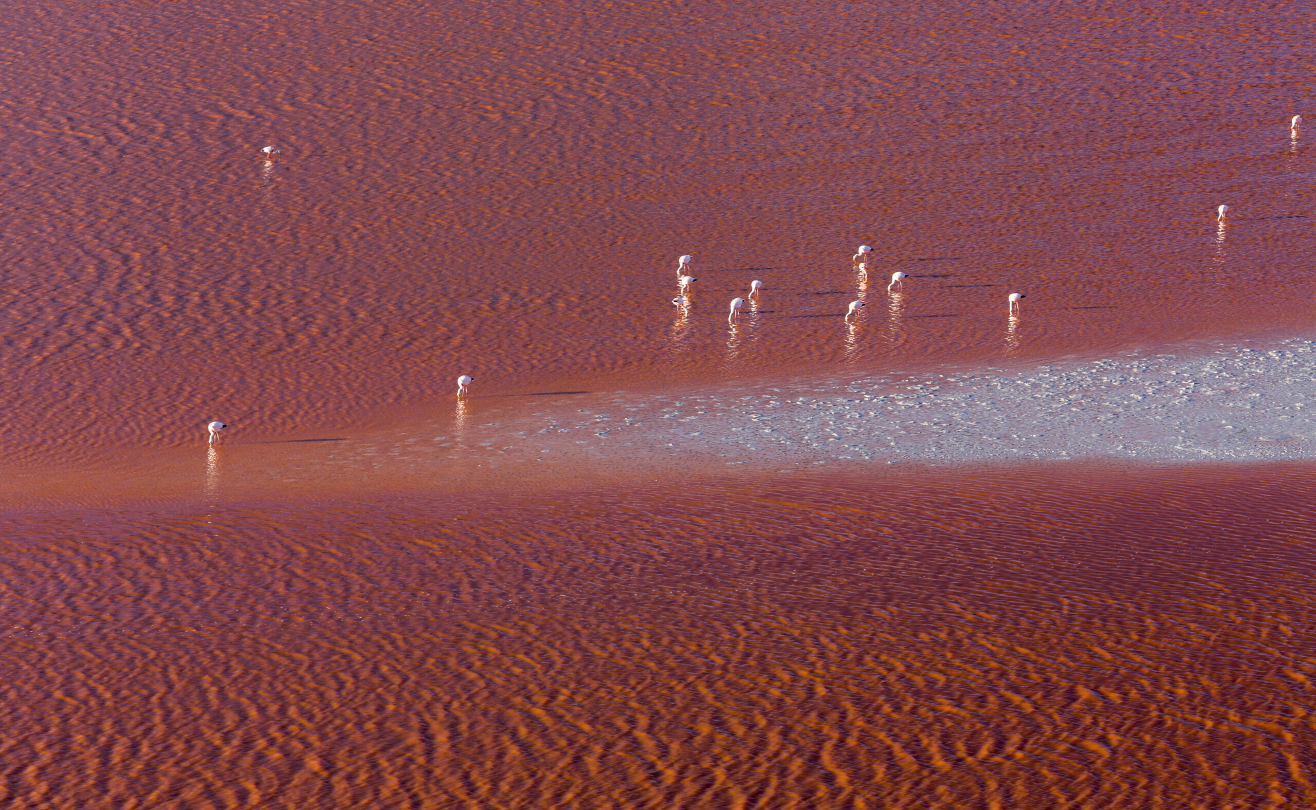 Tecnologia rivoluzionaria trasforma l'aria secca del deserto in acqua vitale