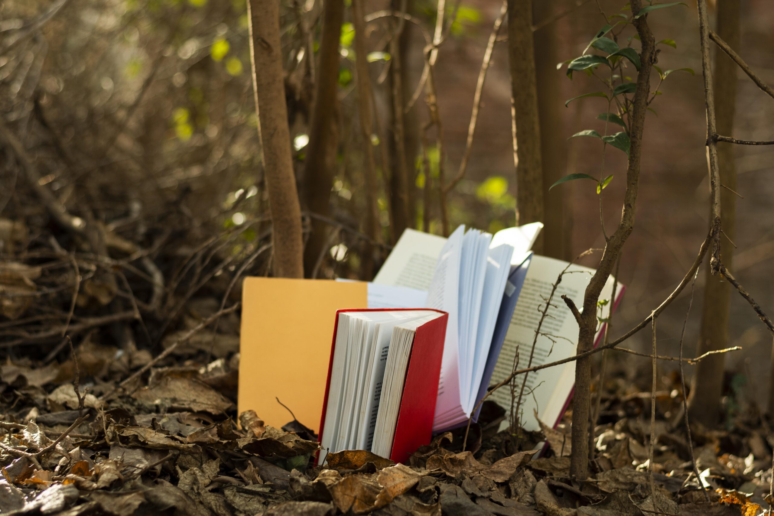 Dodici libri da leggere sul clima prima delle elezioni