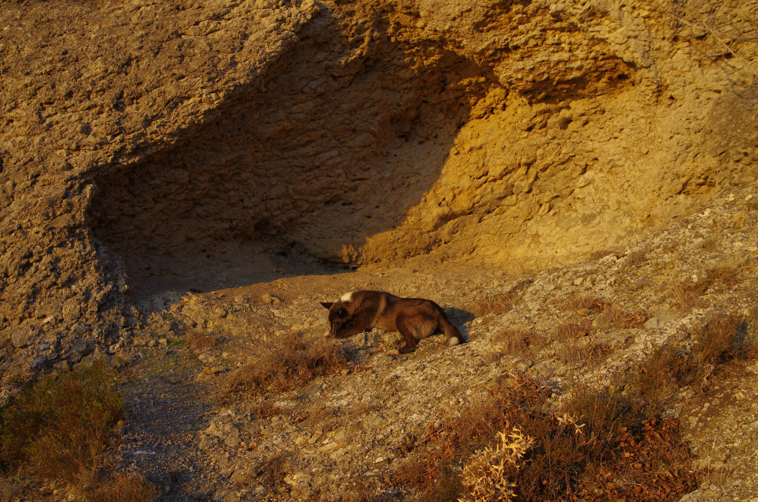 La miniera di ocra più antica al mondo si trova nella Lion Cavern in Africa