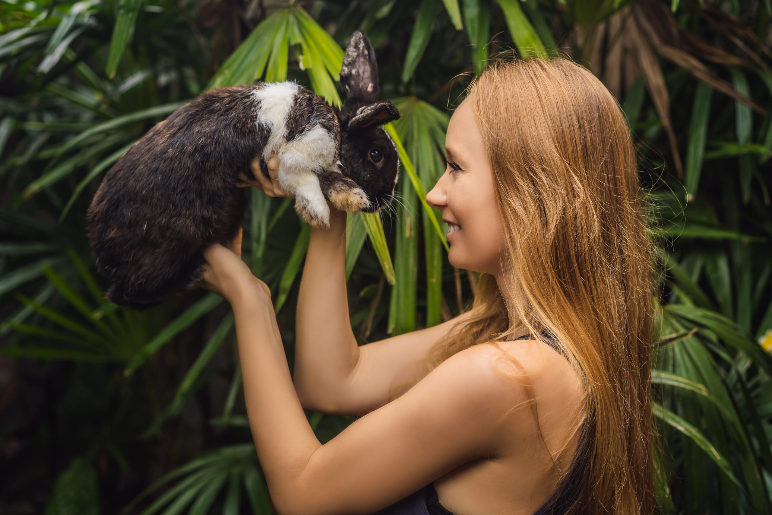 La verità sugli animali selvatici e l'alcol. L'ora felice nascosta della natura