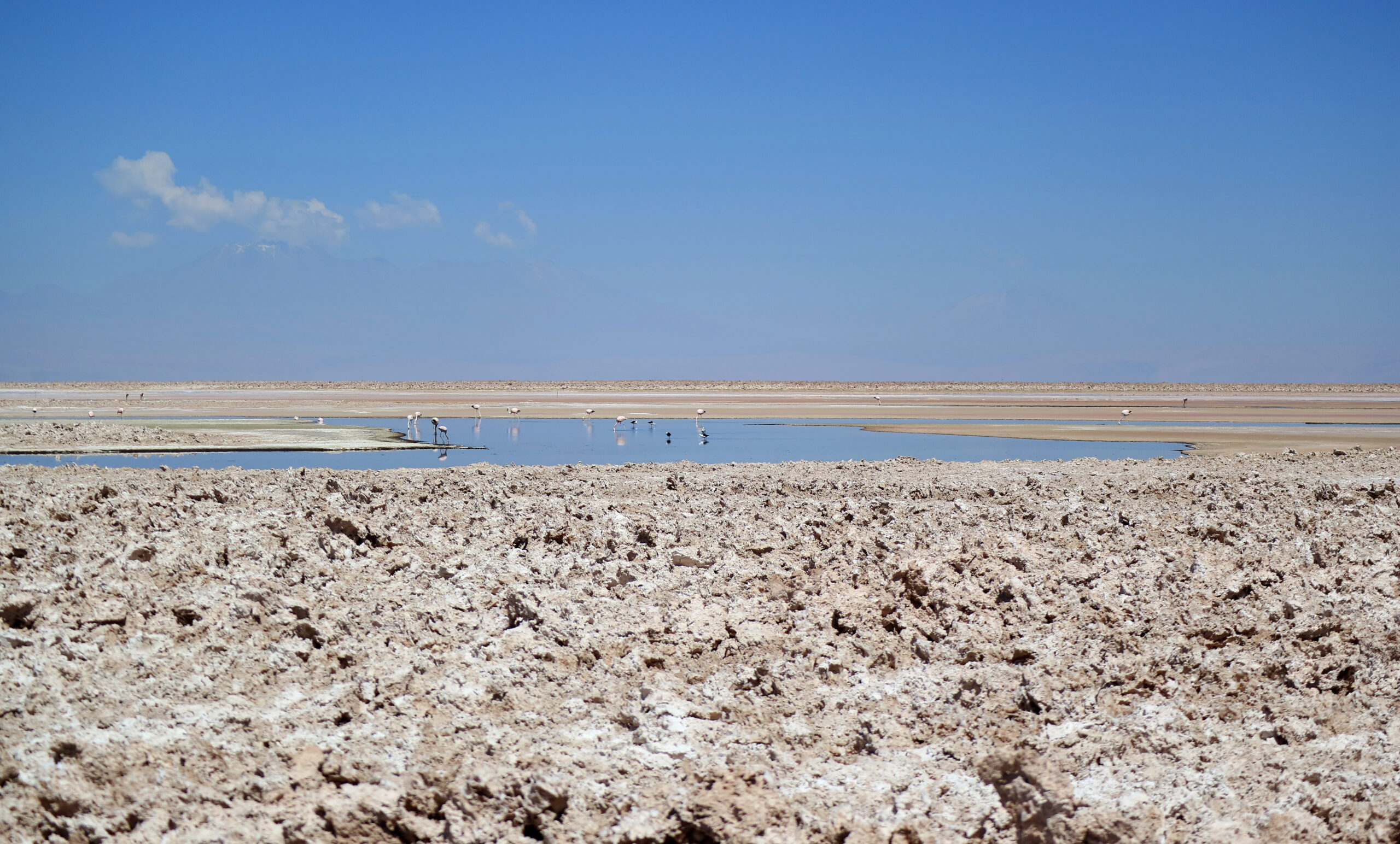 La crisi di salinità del Messiniano. Quando il Mediterraneo divenne un deserto salato