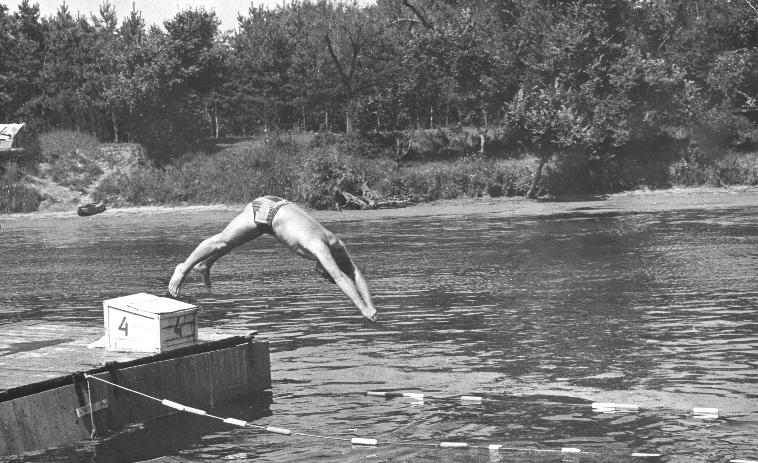 Il ritorno dei salmoni nel bacino del Klamath in Oregon per la prima volta dal 1912