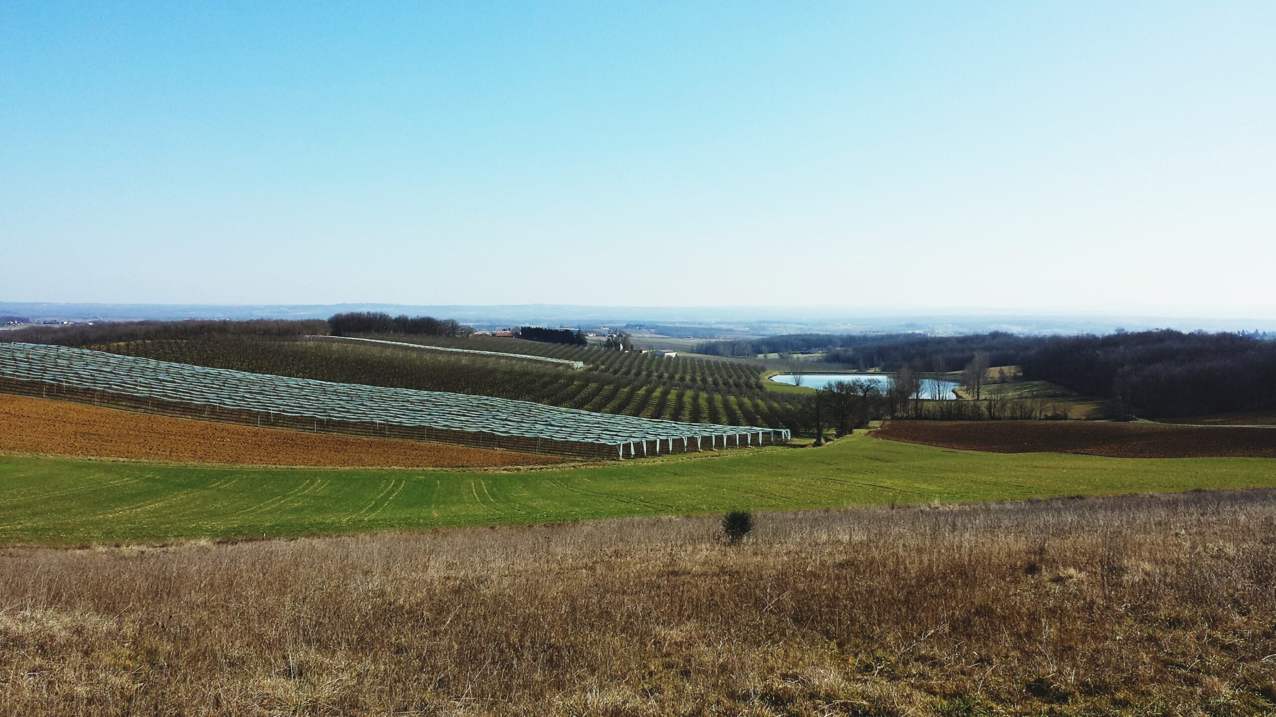 Frutteto di quinta generazione in Connecticut investe in 1.500 pannelli solari