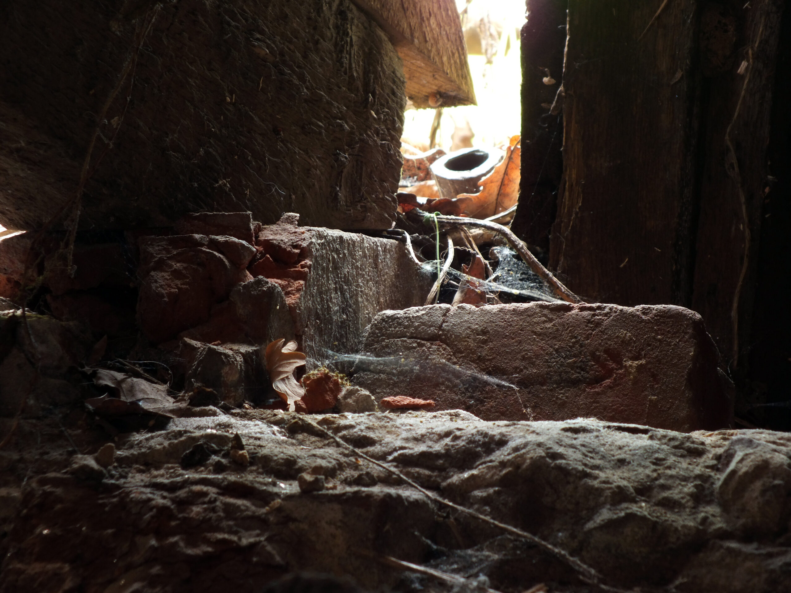 Tomba nascosta con 12 scheletri scoperta sotto l'antico edificio del Tesoro di Petra