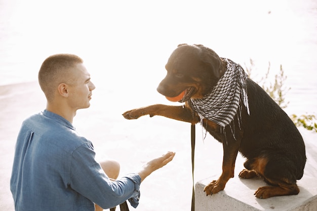 Scoperta nella comunicazione canina. Padroneggiare il linguaggio per una migliore comprensione dei cani