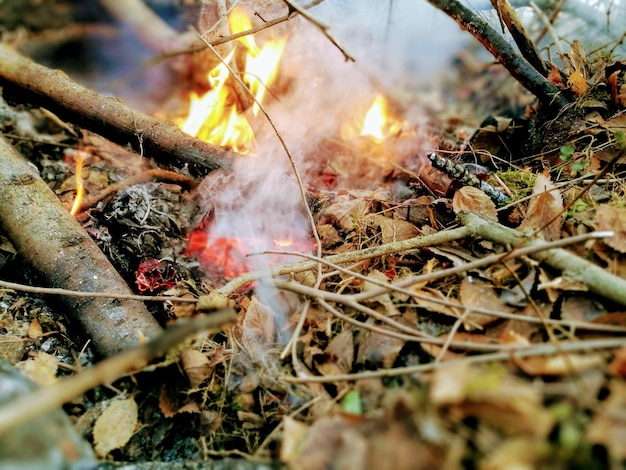 Tutto quello che devi sapere sul fumo degli incendi boschivi