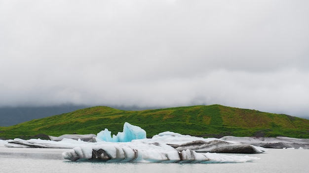 La penisola antartica si sta tingendo di verde. Crescono serie preoccupazioni