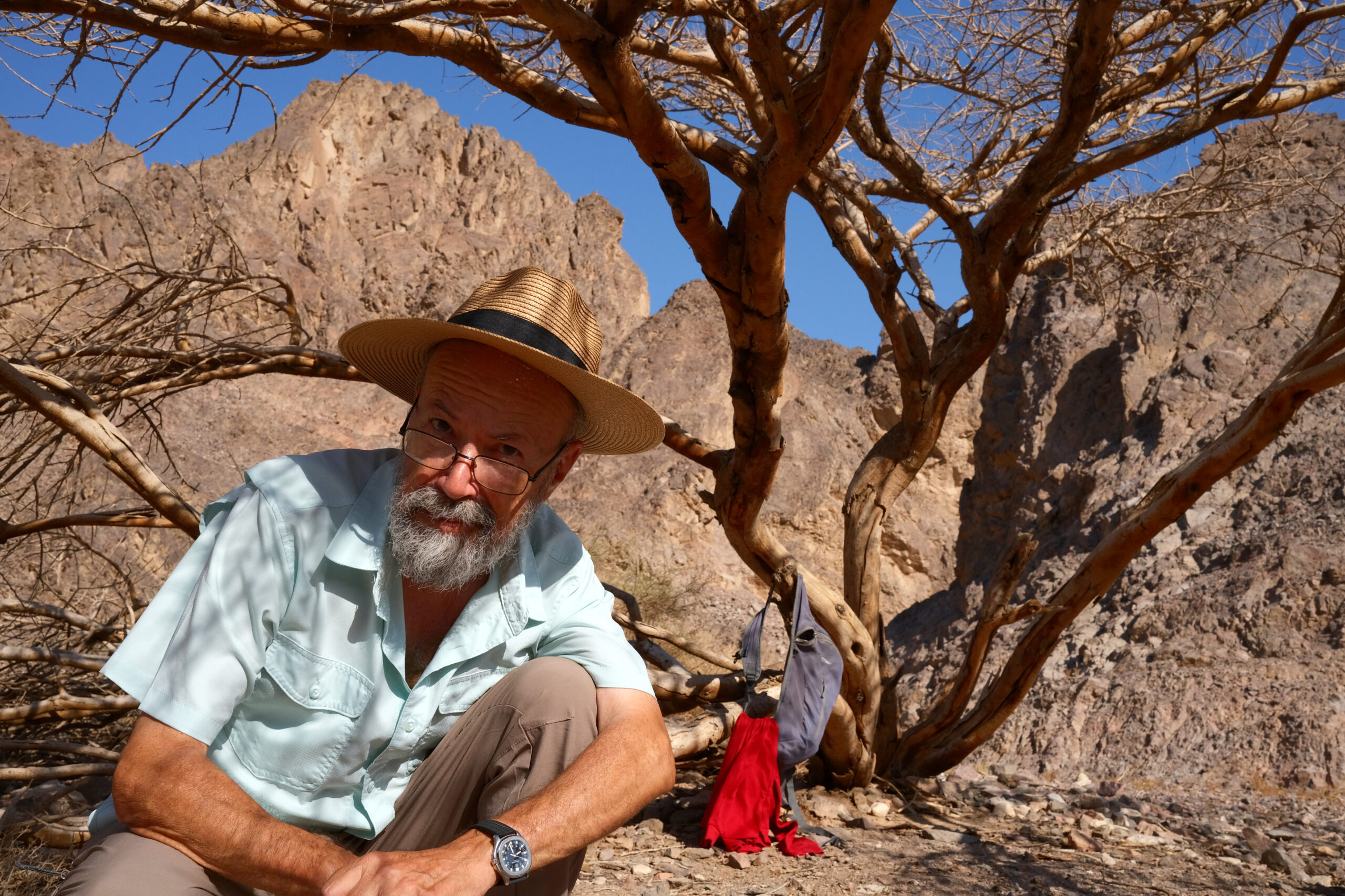 Organizzazione no profit di Tucson assume fino a 50 adolescenti all’anno per piantare alberi