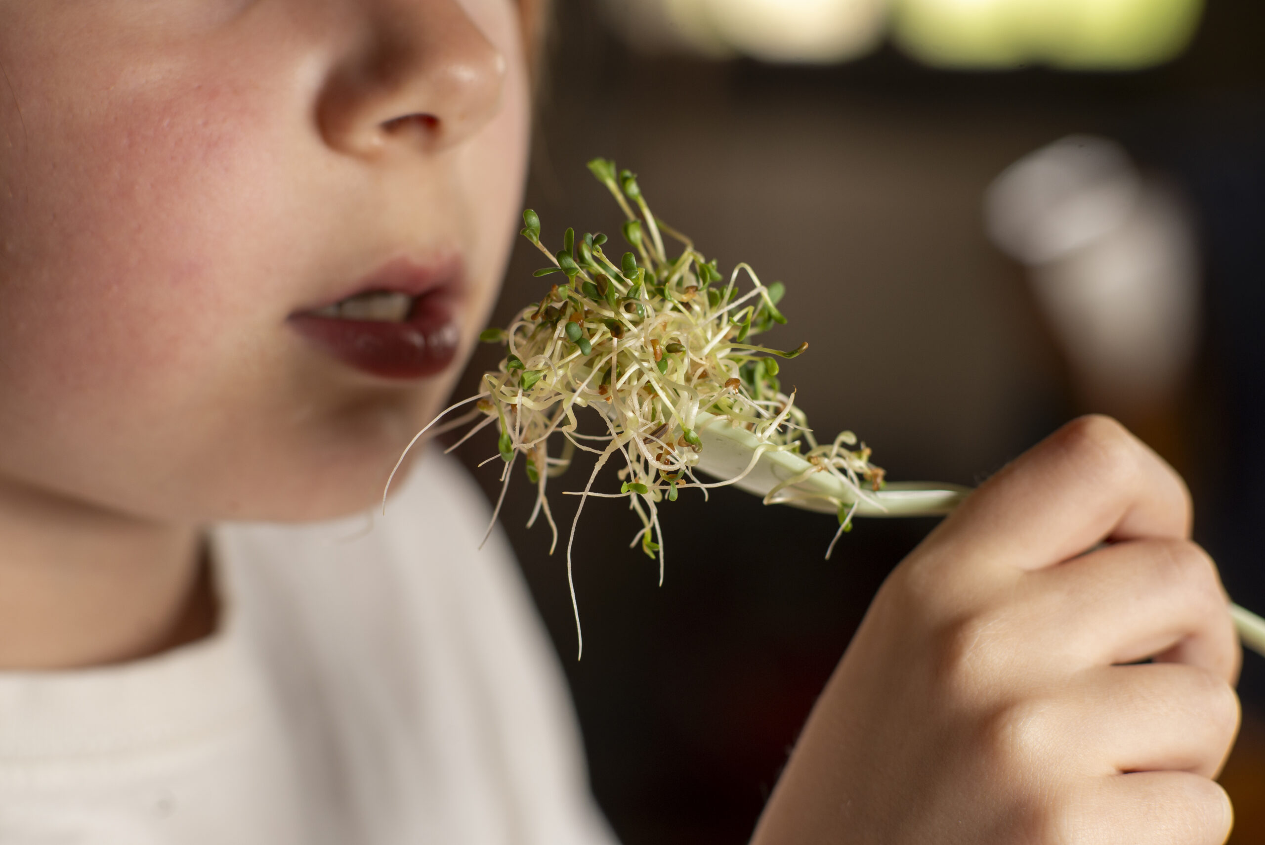 Uso prenatale di cannabis può causare sfide cognitive e aggressività nei bambini