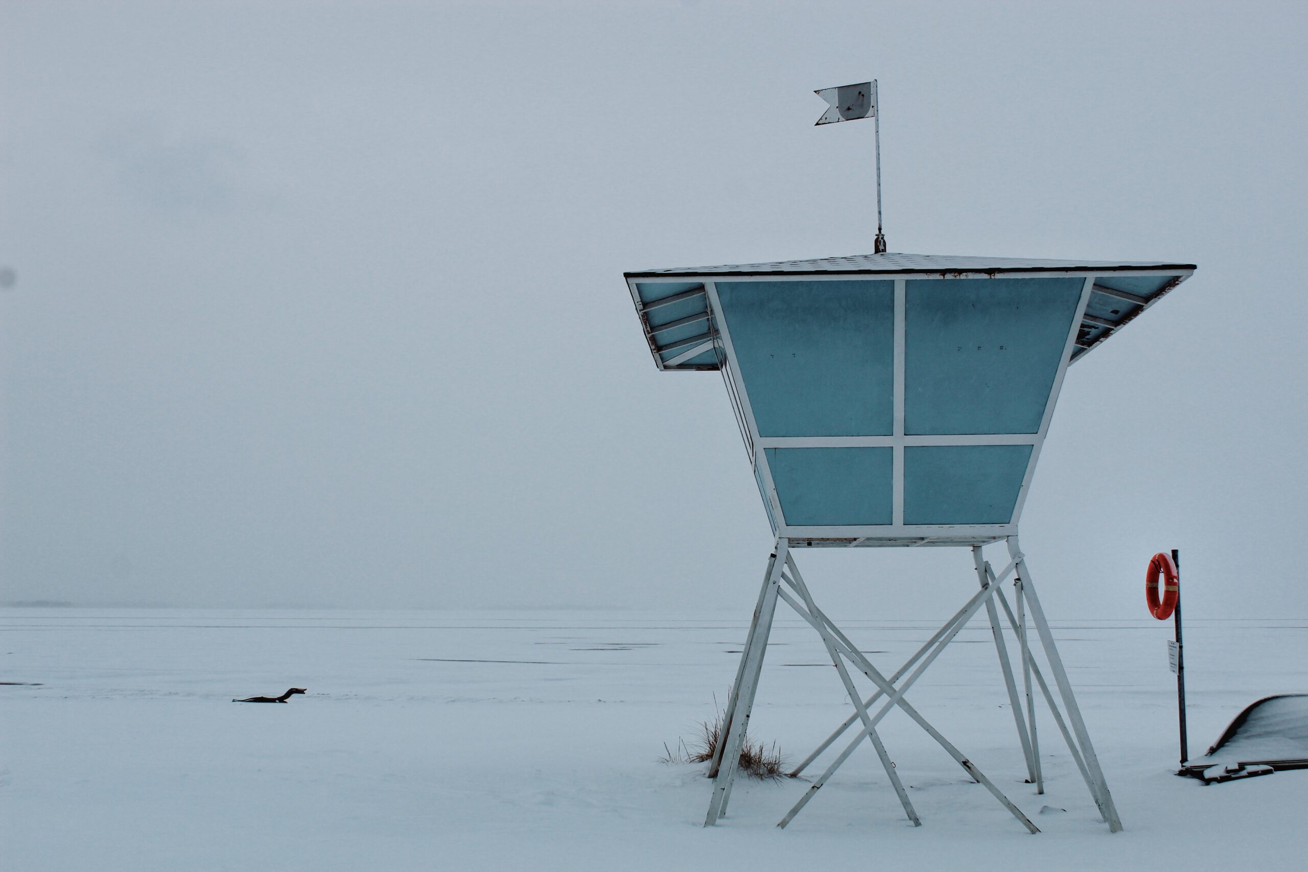 Satellite cattura tsunami senza precedenti nel fiordo della Groenlandia: frozen fury