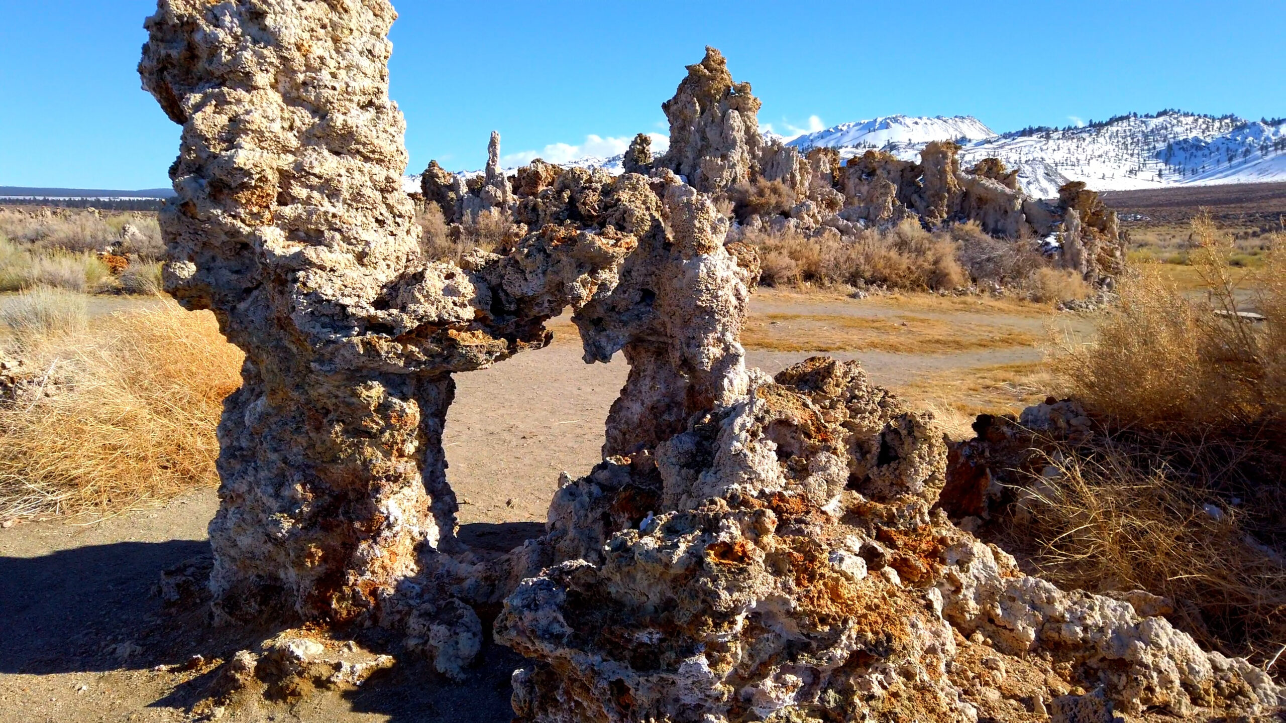 Il Devils Postpile in California è un raro capolavoro geologico con colonne alte 18 metri