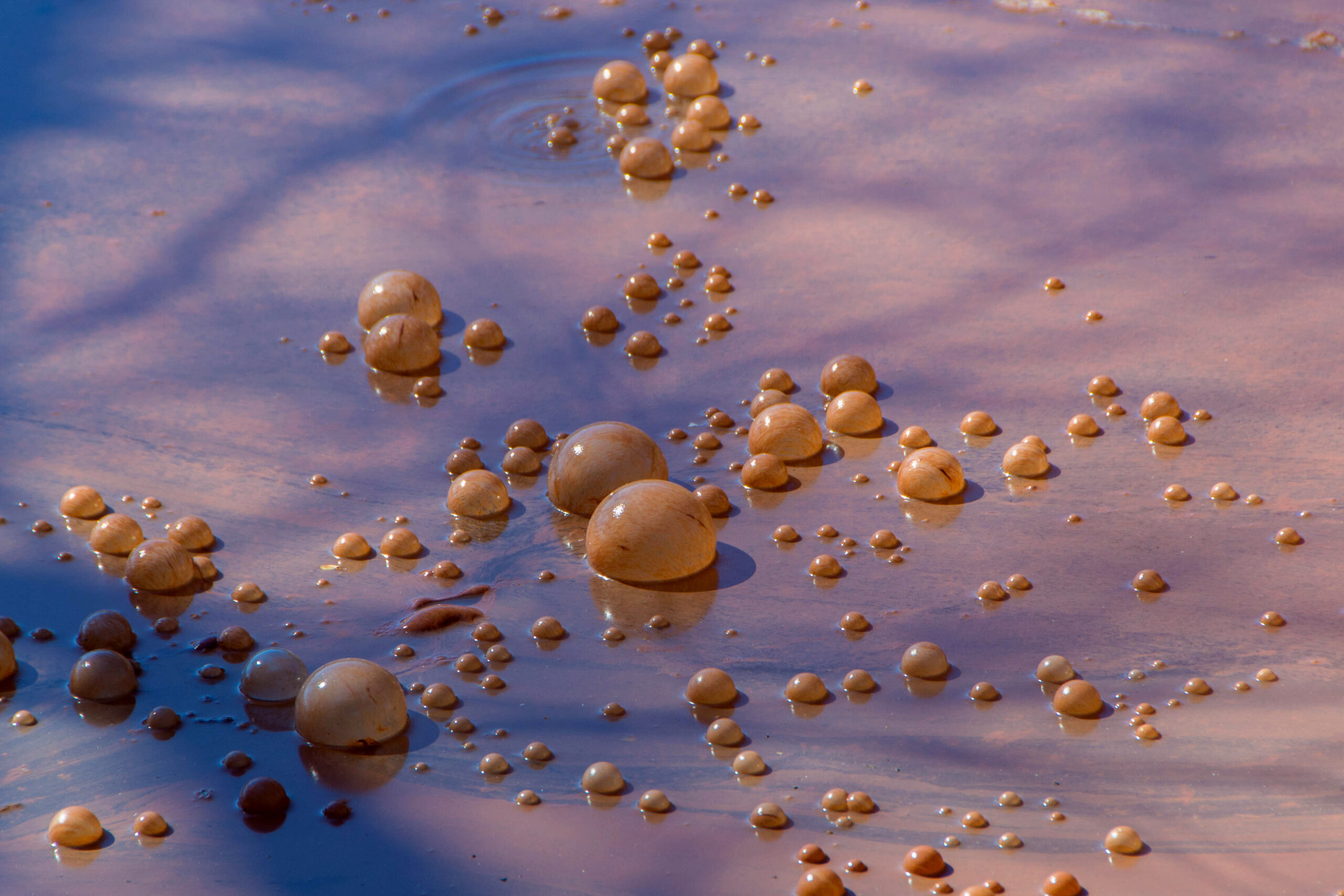 Palle puzzolenti sulle spiagge australiane contengono feci umane e droghe, rivela analisi chimica