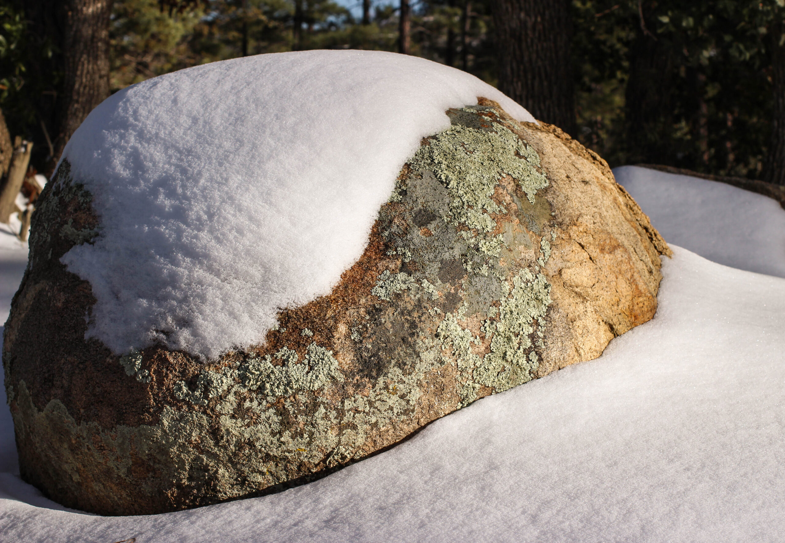 Prove della Snowball Earth trovate in antiche rocce sul Pikes Peak in Colorado