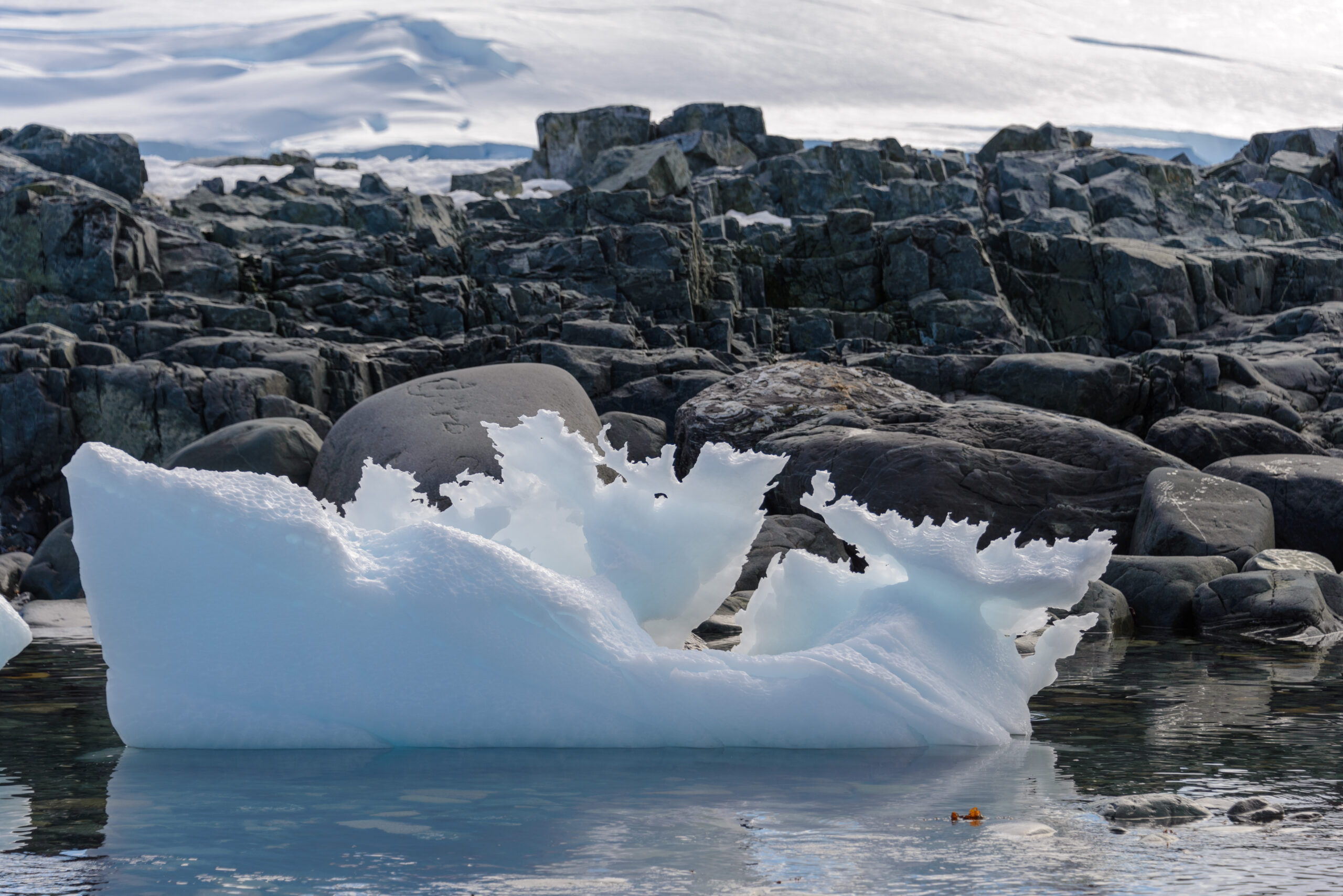 Scoperta sorprendente: la calotta glaciale della Groenlandia trattiene l'acqua di fusione estiva. Sfida previsioni sul livello del mare