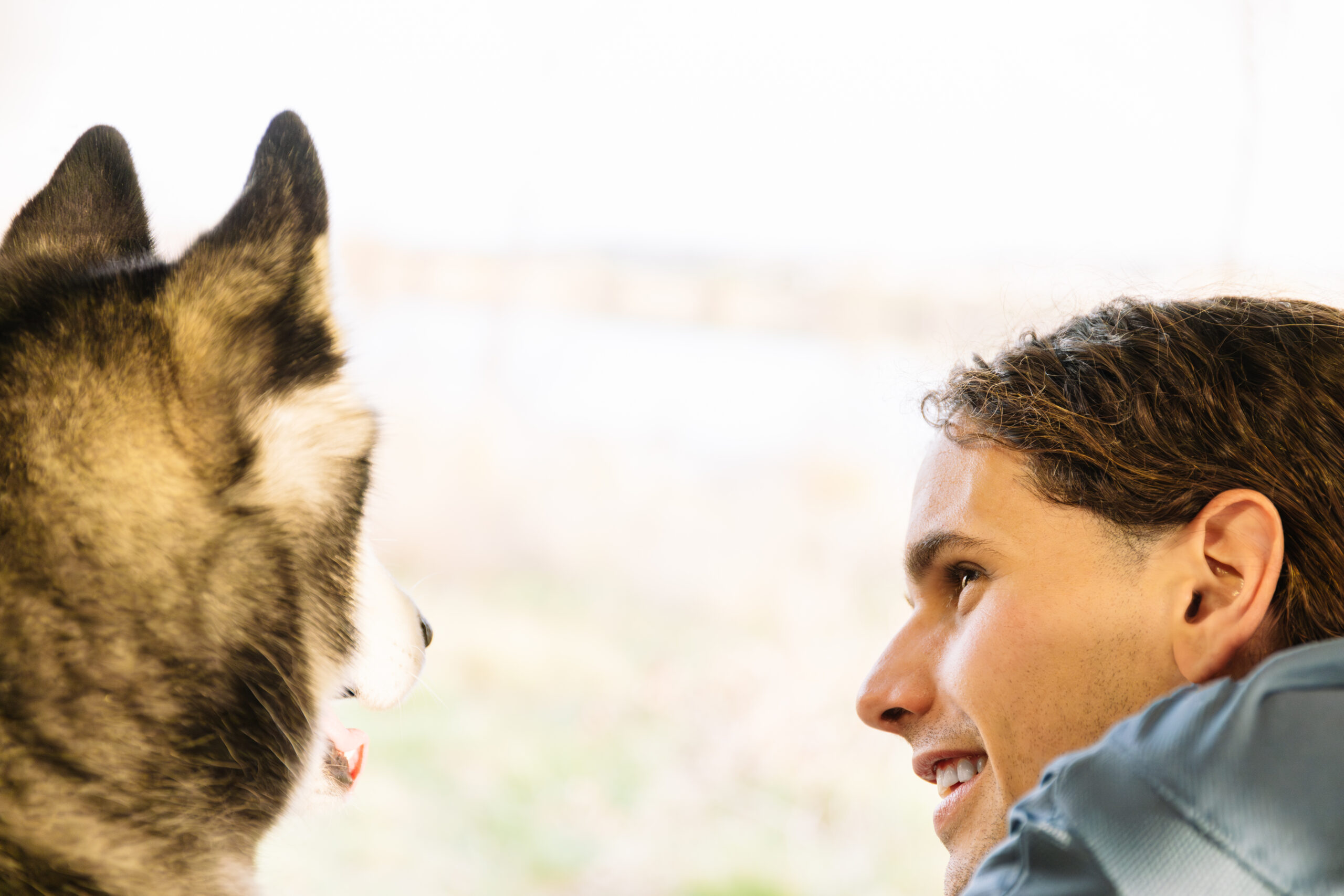 Osservare il tuo cane può connettere il tuo cervello con il loro, secondo la ricerca