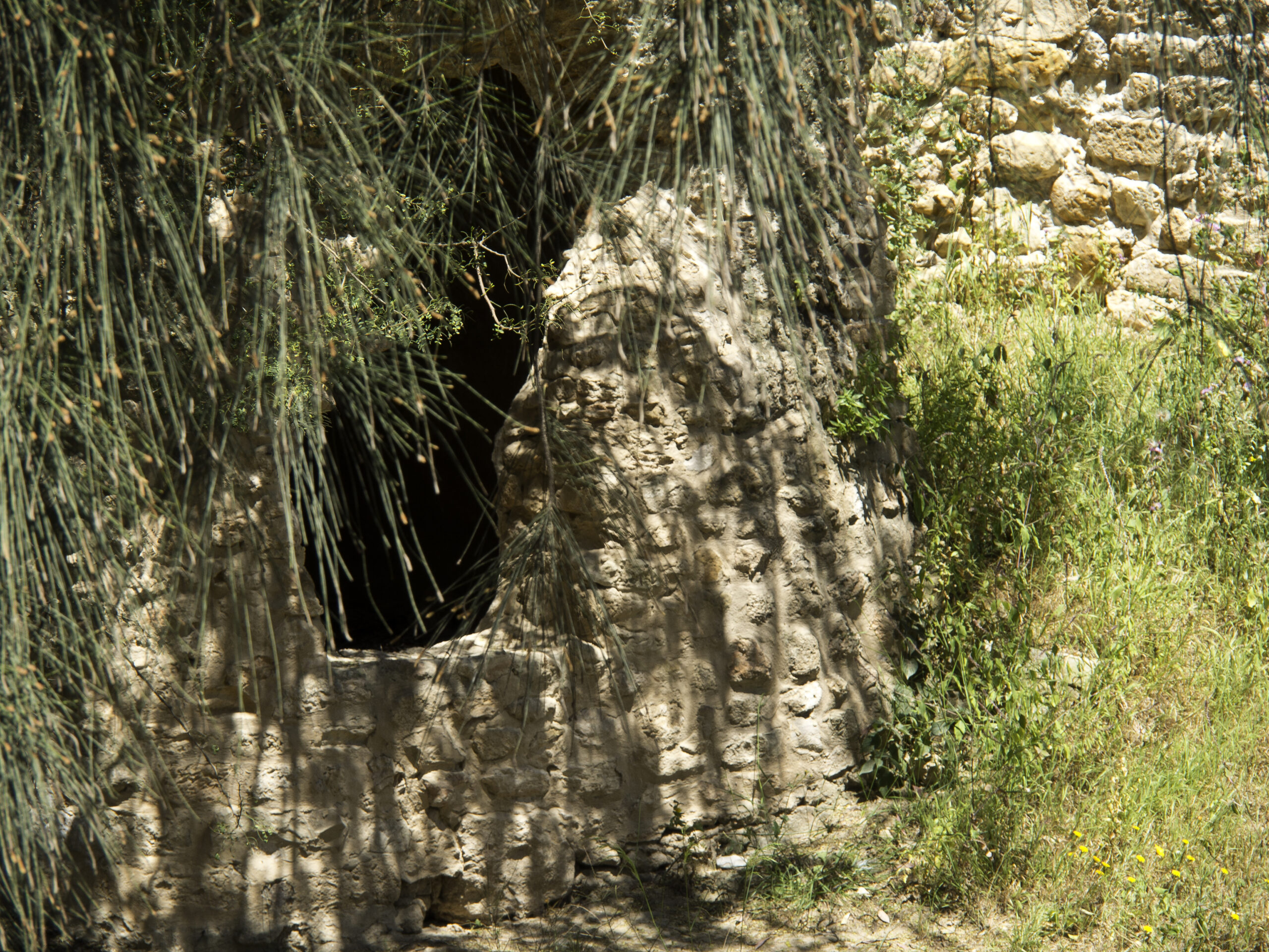 Roccia incisa rivela uso rituale di una grotta antica risalente a 35.000 anni fa