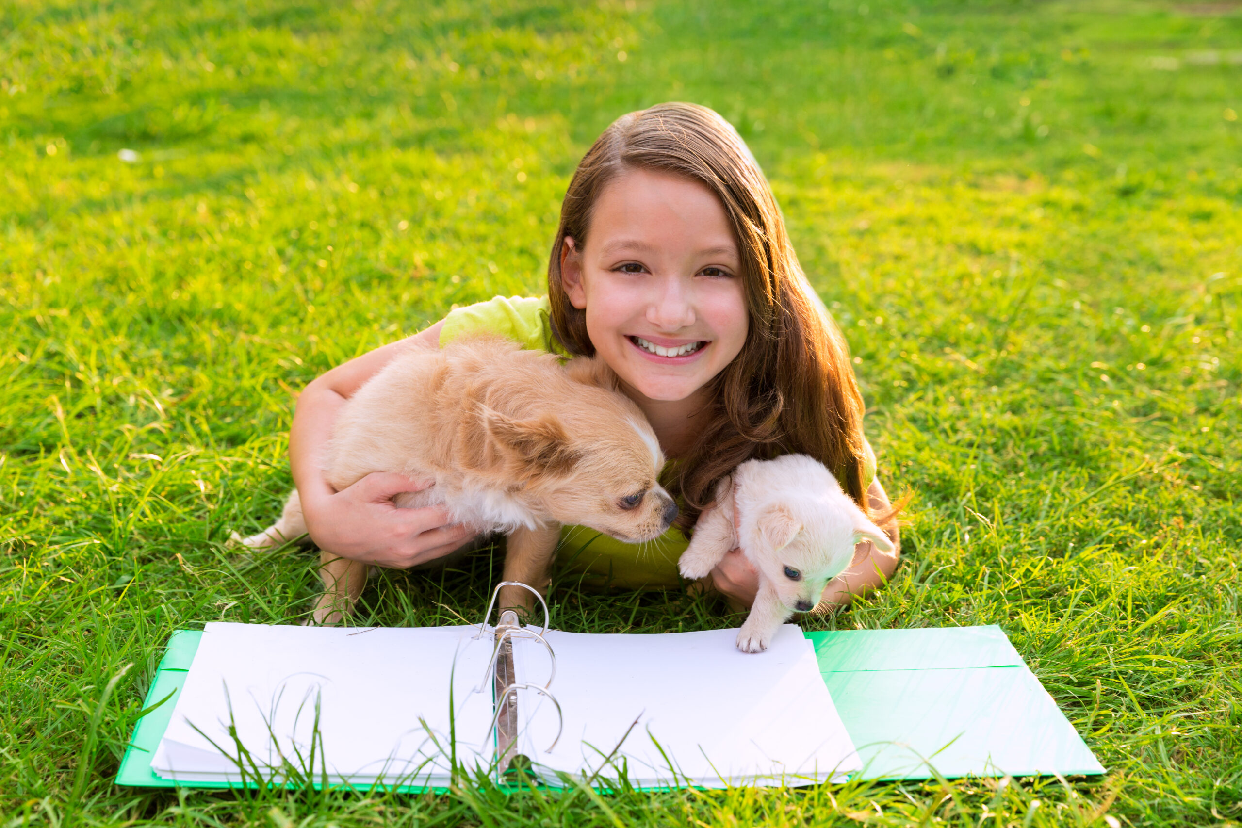 Attenzione ai sorrisi degli animali carini. Potrebbero non essere come pensi